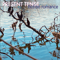 FICTION ROMANCE CD album 'PRESENT TENSE'